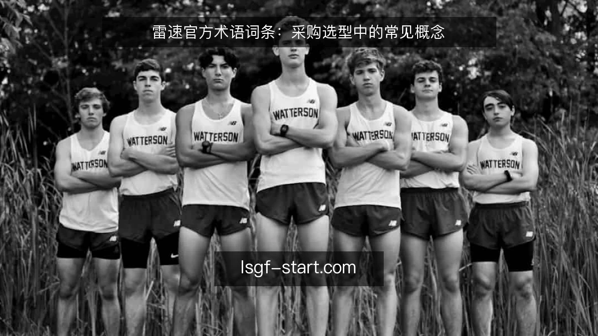 雷速官方术语词条：采购选型中的常见概念