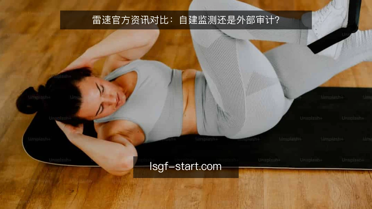 雷速官方资讯对比：自建监测还是外部审计？